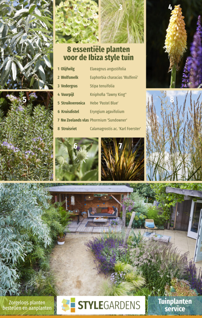 De juiste planten keuze, best lastig als je geen ervaring hebt. Met onze Tuinplanten Service maak je exclusief gebruik van onze ruime plantenkennis als aanvulling op je eigen tuinwerkzaamheden of om ons tuinontwerp compleet te maken. We helpen je met een beplantingsplan op maat, afgestemd op jouw tuin en zorgen voor kwalitatieve planten in de juiste aantallen en samenstelling. Mét garantie!