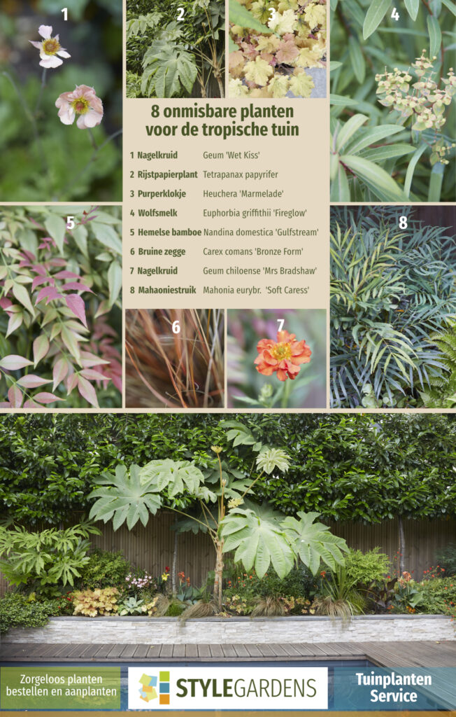 De juiste planten keuze, best lastig als je geen ervaring hebt. Met onze Tuinplanten Service maak je exclusief gebruik van onze ruime plantenkennis als aanvulling op je eigen tuinwerkzaamheden of om ons tuinontwerp compleet te maken. We helpen je met een beplantingsplan op maat, afgestemd op jouw tuin en zorgen voor kwalitatieve planten in de juiste aantallen en samenstelling. Mét garantie!