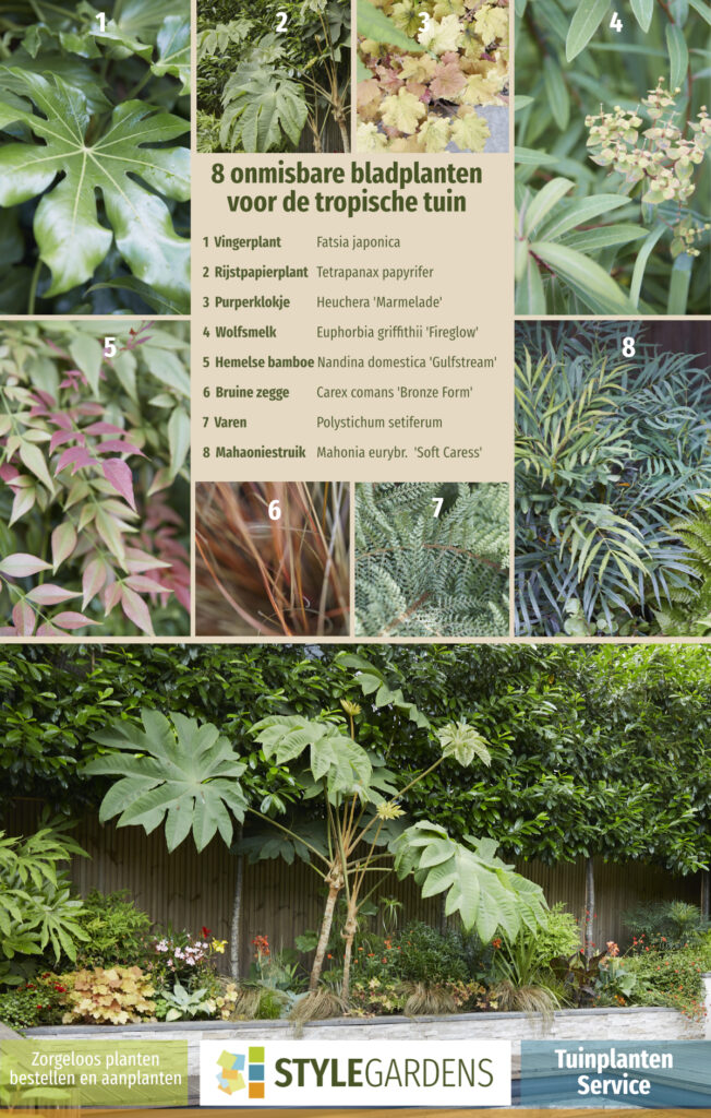 De juiste planten keuze, best lastig als je geen ervaring hebt. Met onze Tuinplanten Service maak je exclusief gebruik van onze ruime plantenkennis als aanvulling op je eigen tuinwerkzaamheden of om ons tuinontwerp compleet te maken. We helpen je met een beplantingsplan op maat, afgestemd op jouw tuin en zorgen voor kwalitatieve planten in de juiste aantallen en samenstelling. Mét garantie!