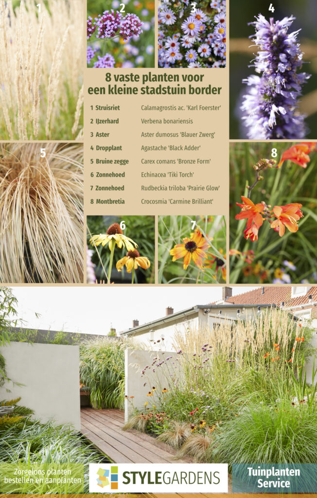 De juiste planten keuze, best lastig als je geen ervaring hebt. Met onze Tuinplanten Service maak je exclusief gebruik van onze ruime plantenkennis als aanvulling op je eigen tuinwerkzaamheden of om ons tuinontwerp compleet te maken. We helpen je met een beplantingsplan op maat, afgestemd op jouw tuin en zorgen voor kwalitatieve planten in de juiste aantallen en samenstelling. Mét garantie!