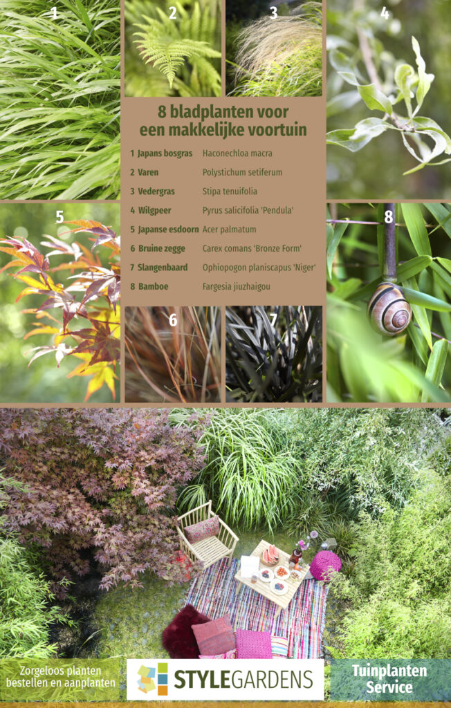 De juiste planten keuze, best lastig als je geen ervaring hebt. Met onze Tuinplanten Service maak je exclusief gebruik van onze ruime plantenkennis als aanvulling op je eigen tuinwerkzaamheden of om ons tuinontwerp compleet te maken. We helpen je met een beplantingsplan op maat, afgestemd op jouw tuin en zorgen voor kwalitatieve planten in de juiste aantallen en samenstelling. Mét garantie!