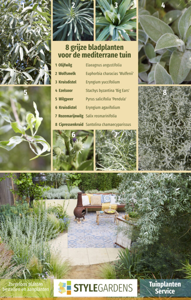 De juiste planten keuze, best lastig als je geen ervaring hebt. Met onze Tuinplanten Service maak je exclusief gebruik van onze ruime plantenkennis als aanvulling op je eigen tuinwerkzaamheden of om ons tuinontwerp compleet te maken. We helpen je met een beplantingsplan op maat, afgestemd op jouw tuin en zorgen voor kwalitatieve planten in de juiste aantallen en samenstelling. Mét garantie!