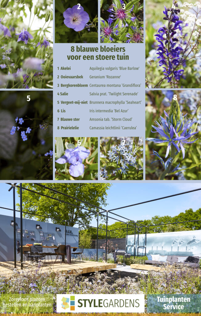 De juiste planten keuze, best lastig als je geen ervaring hebt. Met onze Tuinplanten Service maak je exclusief gebruik van onze ruime plantenkennis als aanvulling op je eigen tuinwerkzaamheden of om ons tuinontwerp compleet te maken. We helpen je met een beplantingsplan op maat, afgestemd op jouw tuin en zorgen voor kwalitatieve planten in de juiste aantallen en samenstelling. Mét garantie!