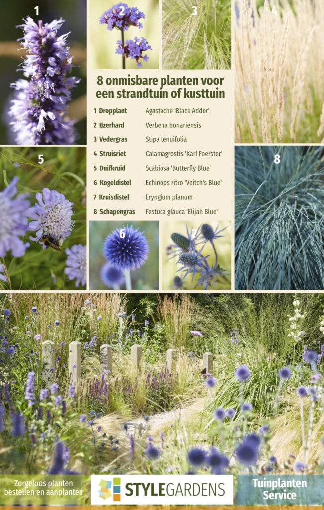 De juiste planten keuze, best lastig als je geen ervaring hebt. Met onze Tuinplanten Service maak je exclusief gebruik van onze ruime plantenkennis als aanvulling op je eigen tuinwerkzaamheden of om ons tuinontwerp compleet te maken. We helpen je met een beplantingsplan op maat, afgestemd op jouw tuin en zorgen voor kwalitatieve planten in de juiste aantallen en samenstelling. Mét garantie!