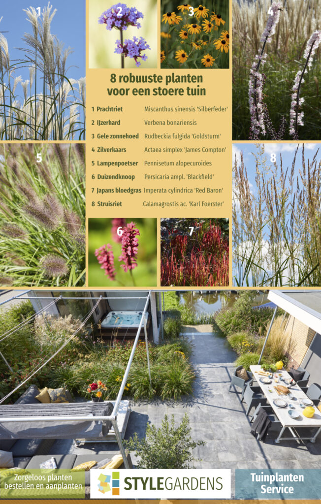 De juiste planten keuze, best lastig als je geen ervaring hebt. Met onze Tuinplanten Service maak je exclusief gebruik van onze ruime plantenkennis als aanvulling op je eigen tuinwerkzaamheden of om ons tuinontwerp compleet te maken. We helpen je met een beplantingsplan op maat, afgestemd op jouw tuin en zorgen voor kwalitatieve planten in de juiste aantallen en samenstelling. Mét garantie!