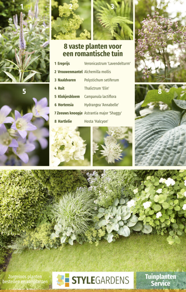 De juiste planten keuze, best lastig als je geen ervaring hebt. Met onze Tuinplanten Service maak je exclusief gebruik van onze ruime plantenkennis als aanvulling op je eigen tuinwerkzaamheden of om ons tuinontwerp compleet te maken. We helpen je met een beplantingsplan op maat, afgestemd op jouw tuin en zorgen voor kwalitatieve planten in de juiste aantallen en samenstelling. Mét garantie!